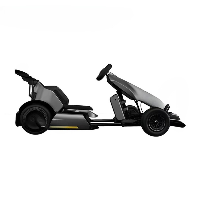 大人と子供向けのゴーカートPro2 電動スクーター レーシン - Kids Electric Scooter のレビューと価格